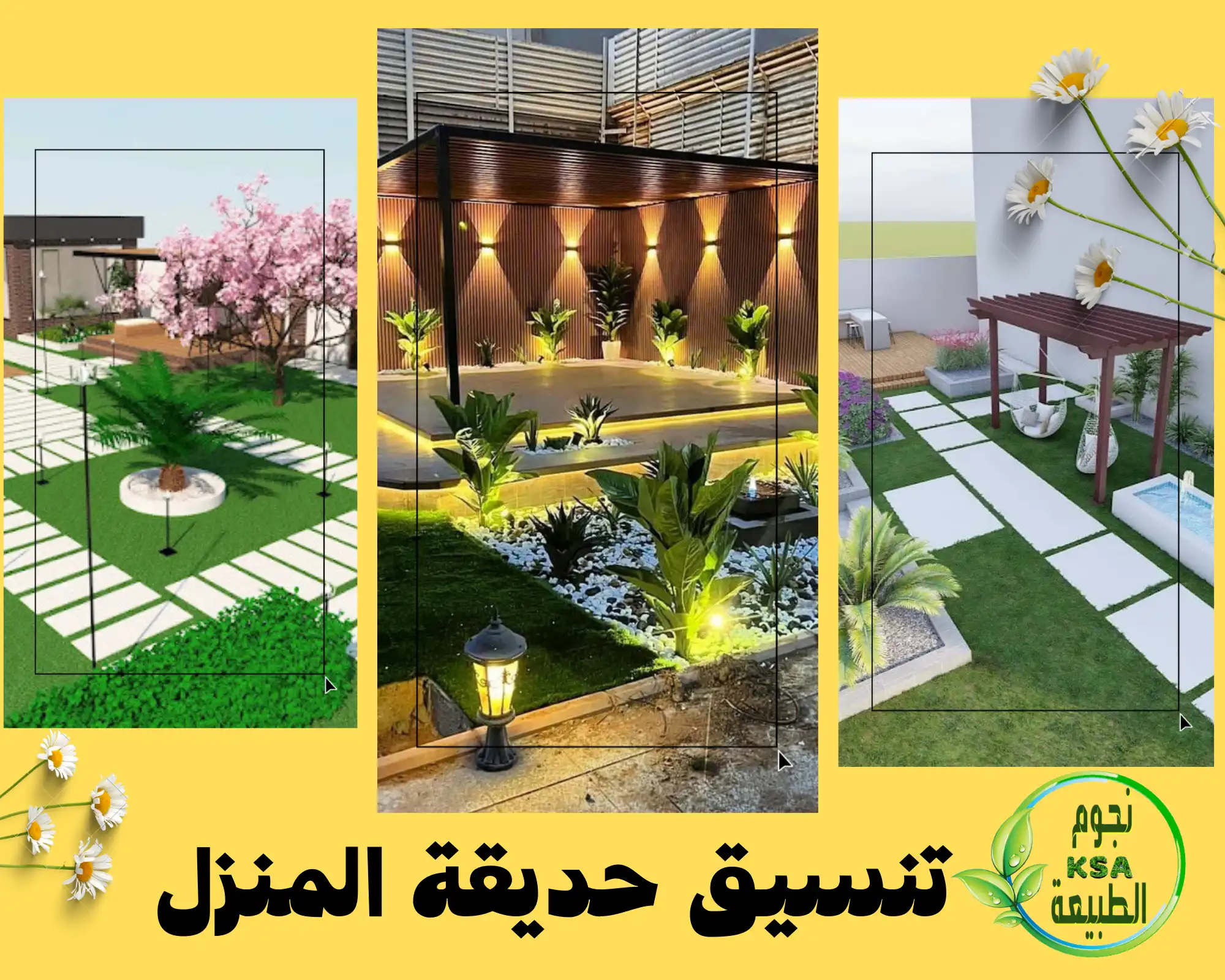 تنسيق حديقة المنزل الرياض